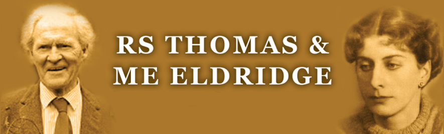 RS Thomas & ME Eldridge Gwyl Celf a Barddoniaeth