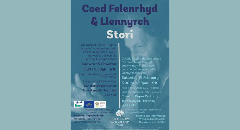 Stori Coed Felenrhyd & Llennyrch