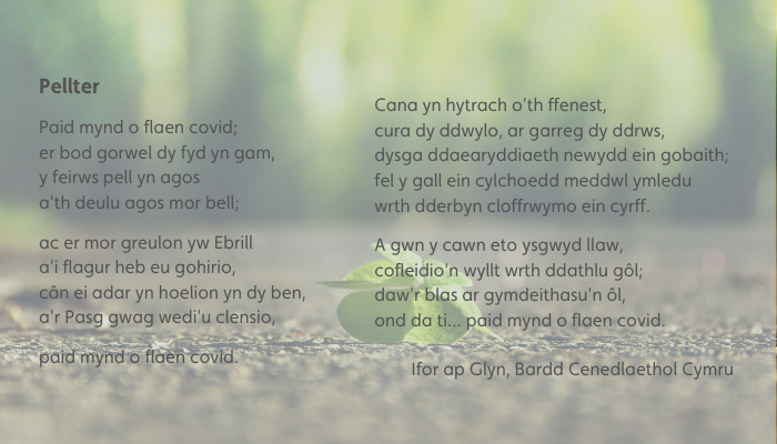 Pellter – Bardd Cenedlaethol Cymru