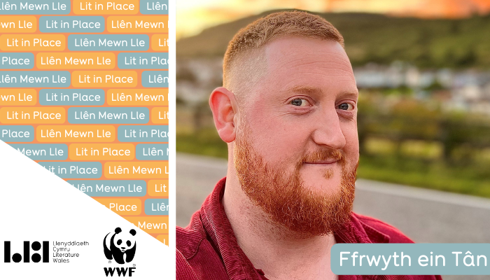Blog: Ffrwyth ein Tân gan Siôn Tomos Owen