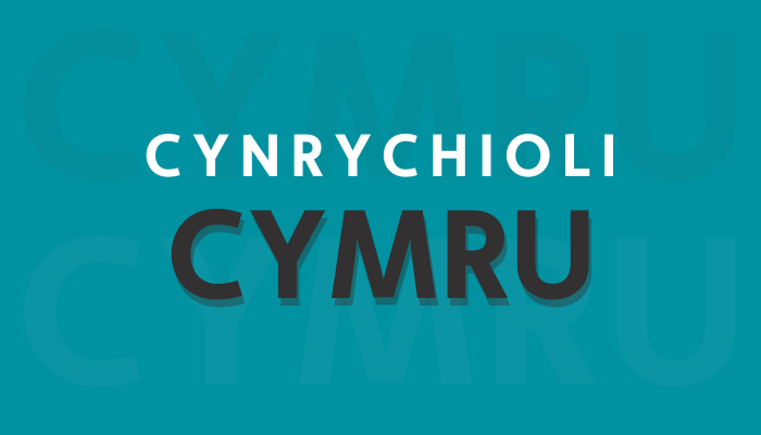 Cynrychioli Cymru: Lansio rhaglen 2024