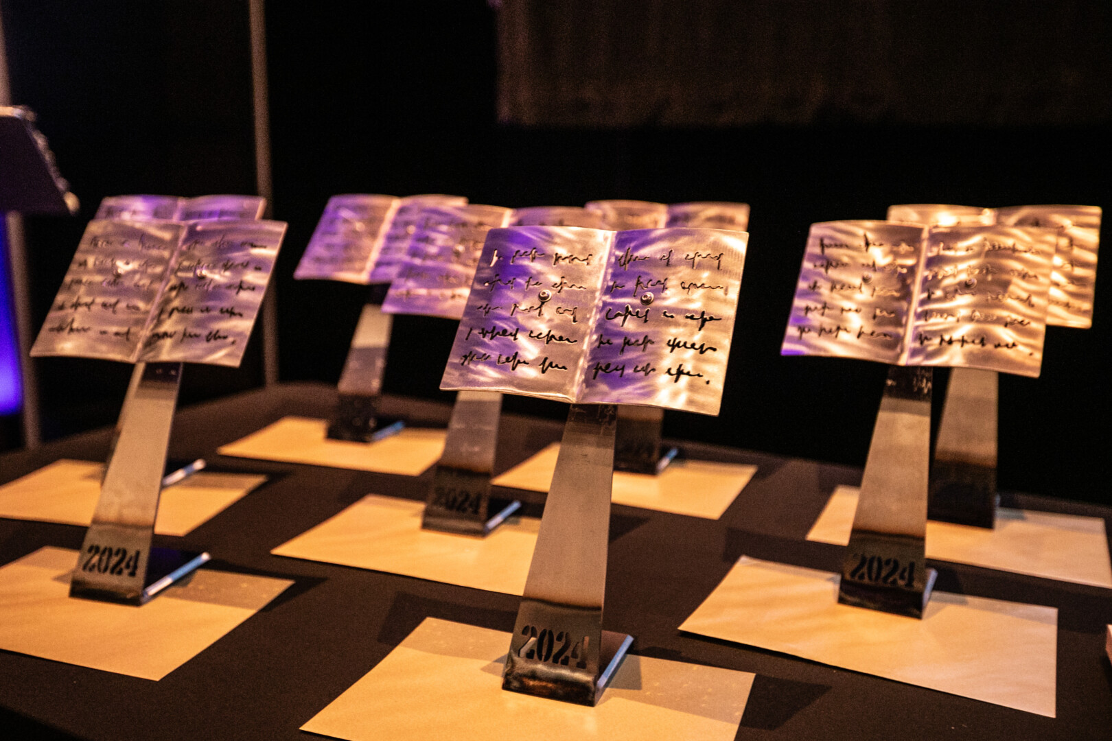 Seremoni Wobrwyo Llyfr y Flwyddyn 2025 – tocyn