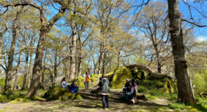Individuals sit on tree trunks in a forest setting.