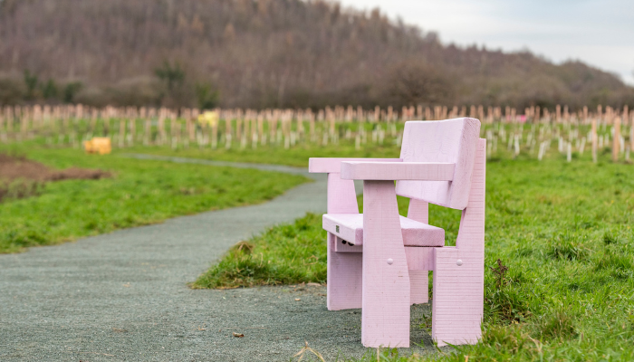 Bardd Cenedlaethol Cymru yn helpu nodi coetir coffa Covid-19 ar ystâd Erddig