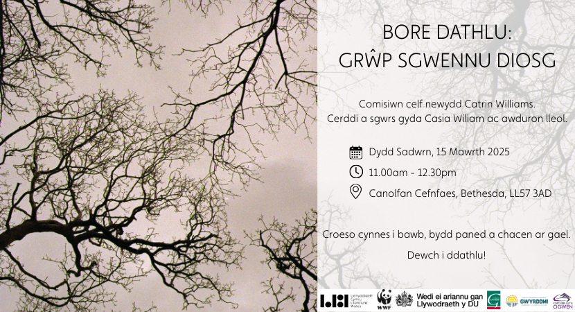 Bore Dathlu Grŵp Sgwennu Diosg
