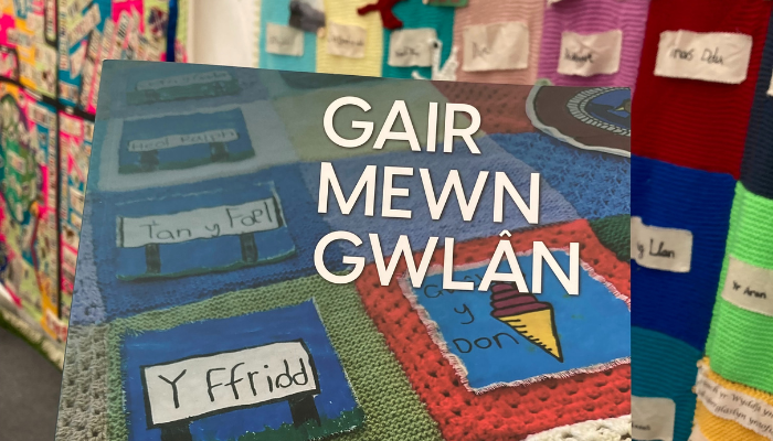 Diwrnod Gweu Rhyngwladol – edrych yn ôl ar Gair mewn Gwlân