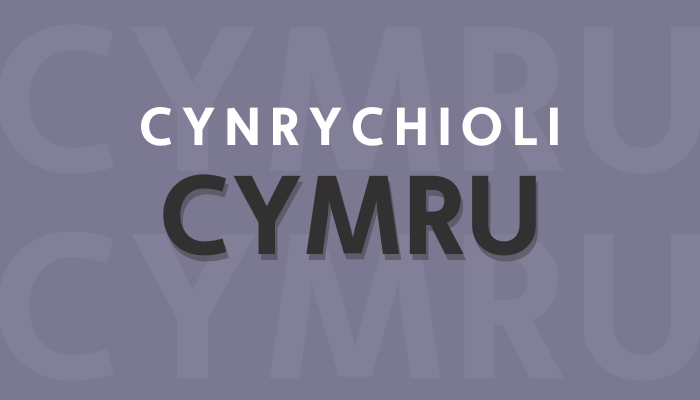 Cynrychioli Cymru: 2026-2027 Ffenestr Ymgeisio Rhaglen Datblygu Awduron Ar Agor